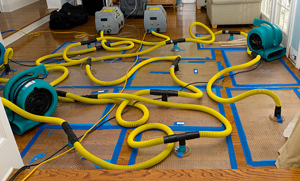 Professional Water Damage Restoration technician working in Harper, WV