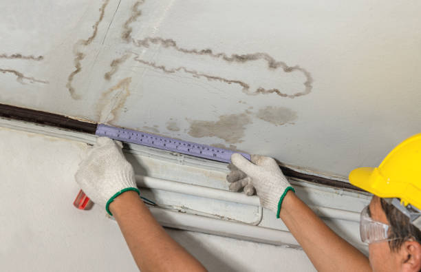 Affordable Water Damage Repair solutions in Harper, WV